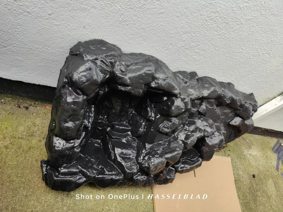 Pond - Image 4