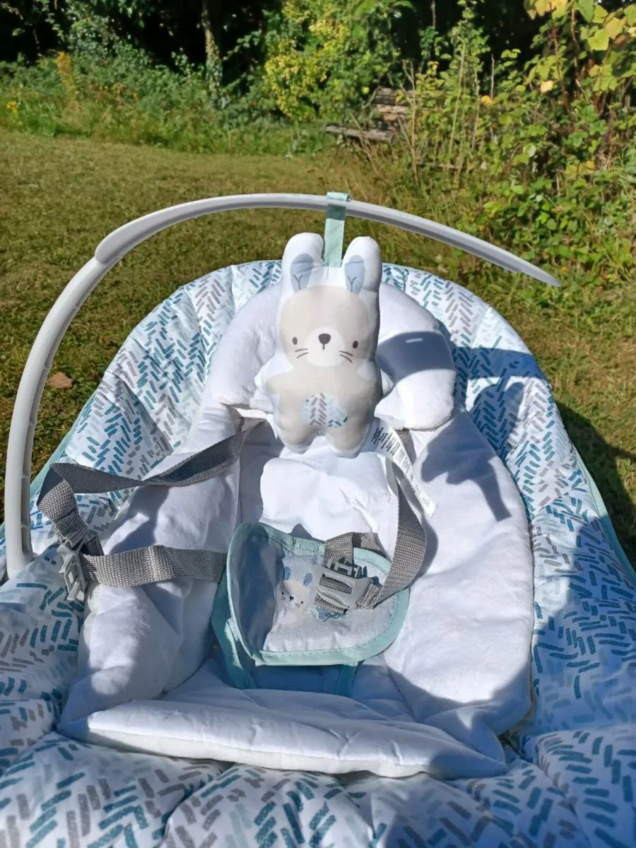 Baby Bouncer - Image 3