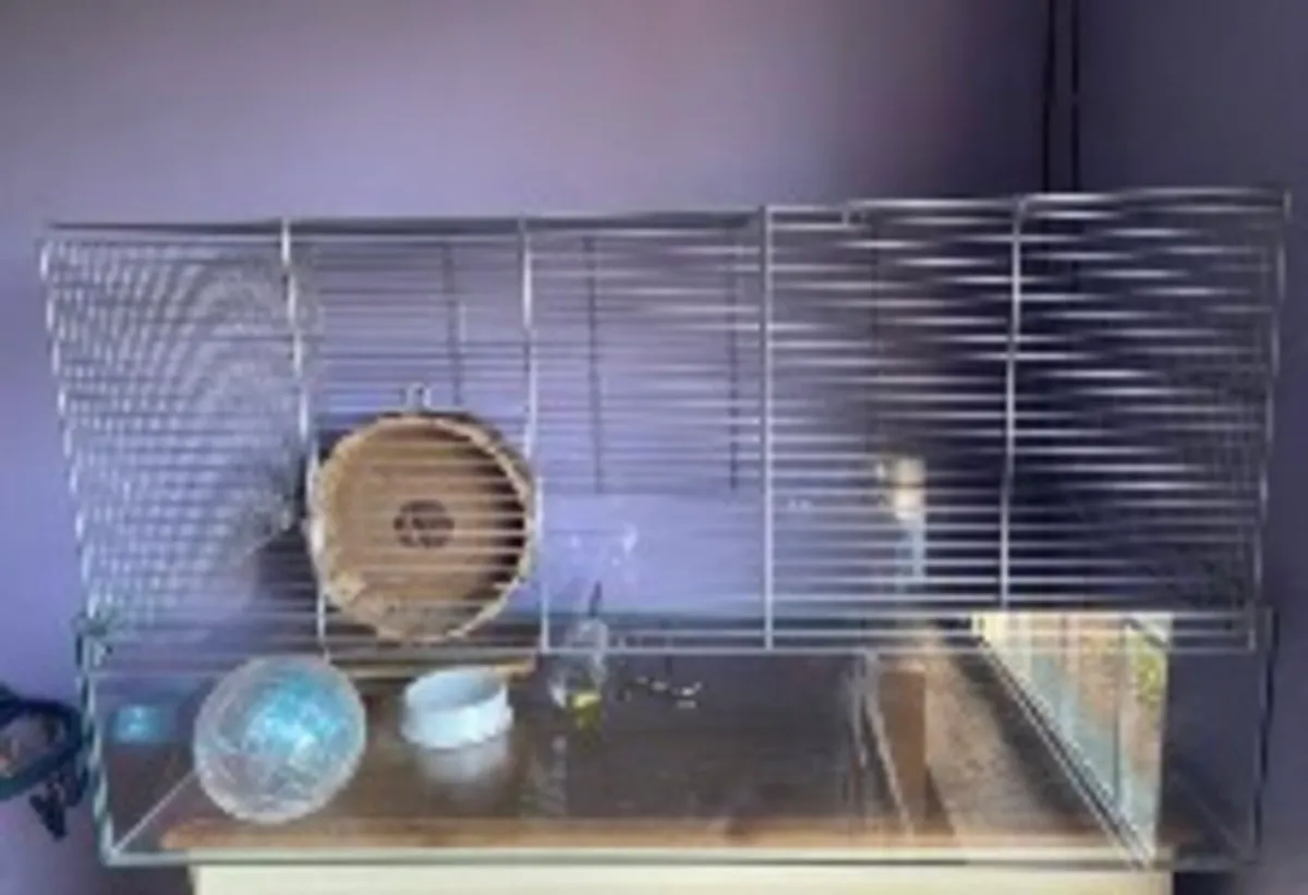 Hamster Cage For Sale
