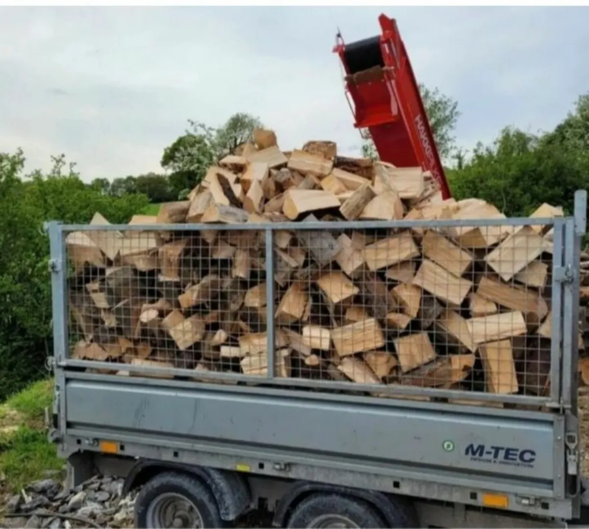 Firewood - Image 1