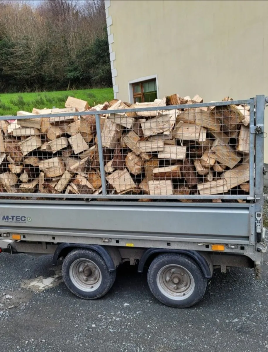 Firewood - Image 4