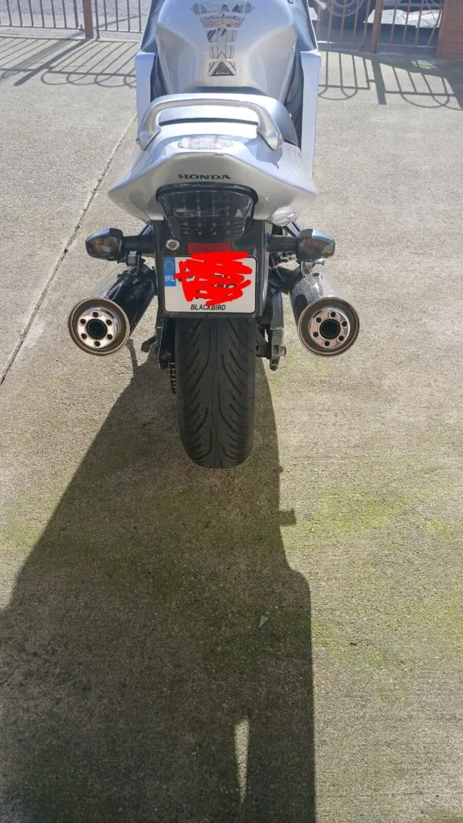 2004 honda blackbird - Image 3
