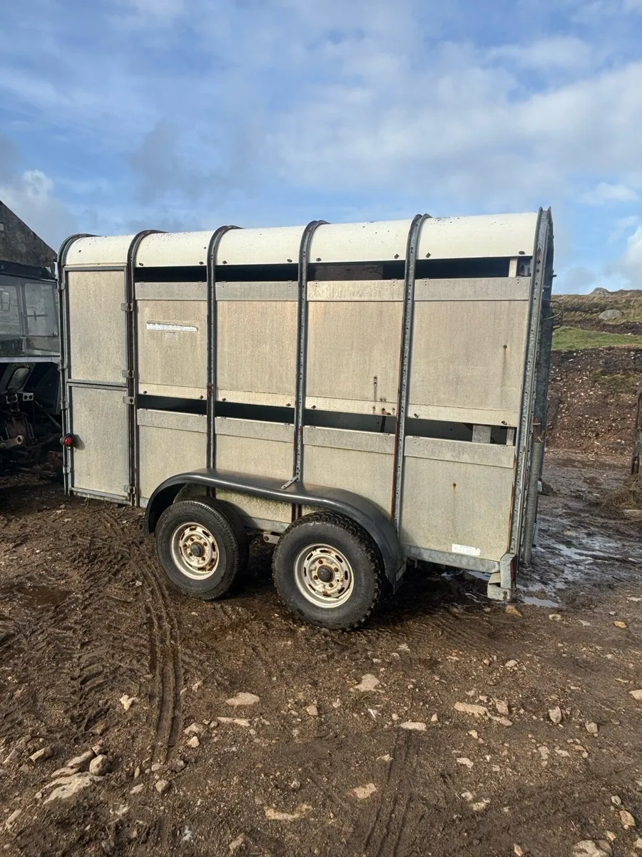 Cattle trailer - Image 2