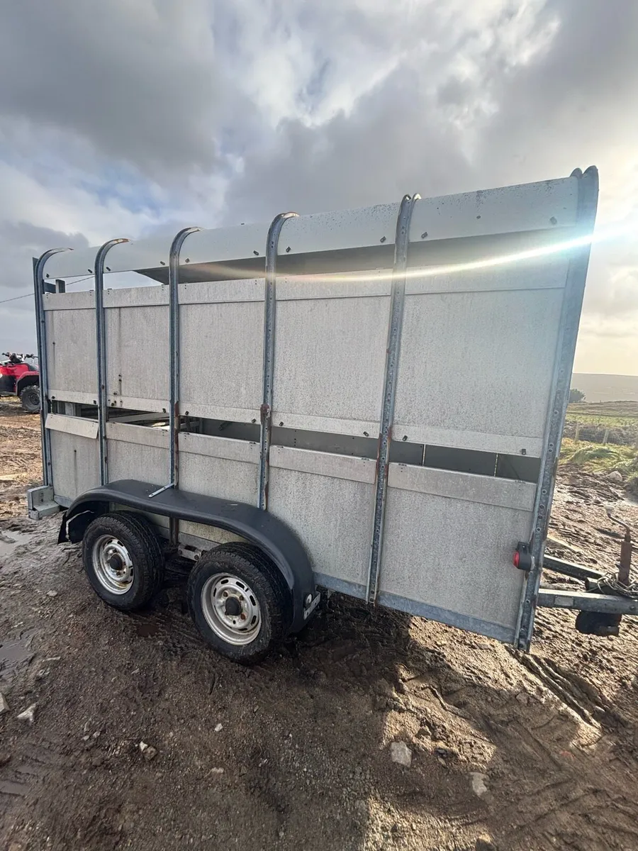Cattle trailer - Image 3
