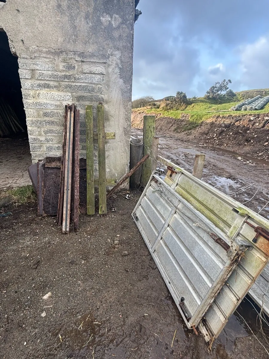 Cattle trailer - Image 4