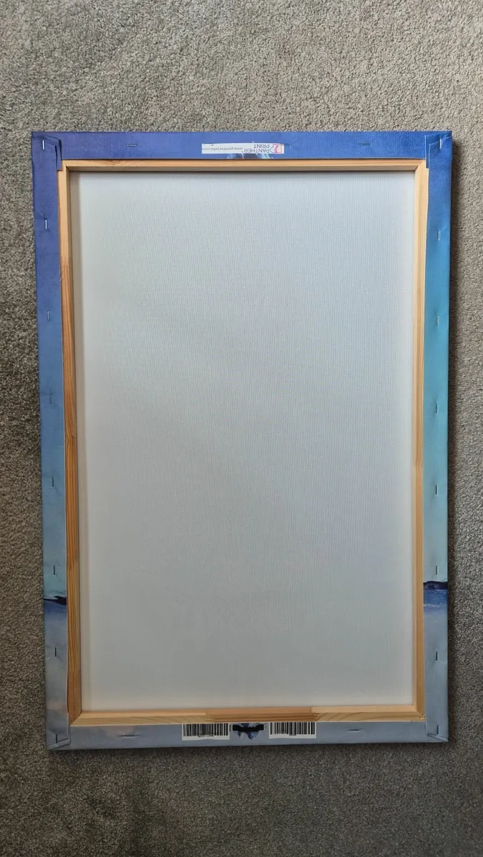 Canvas - Image 2