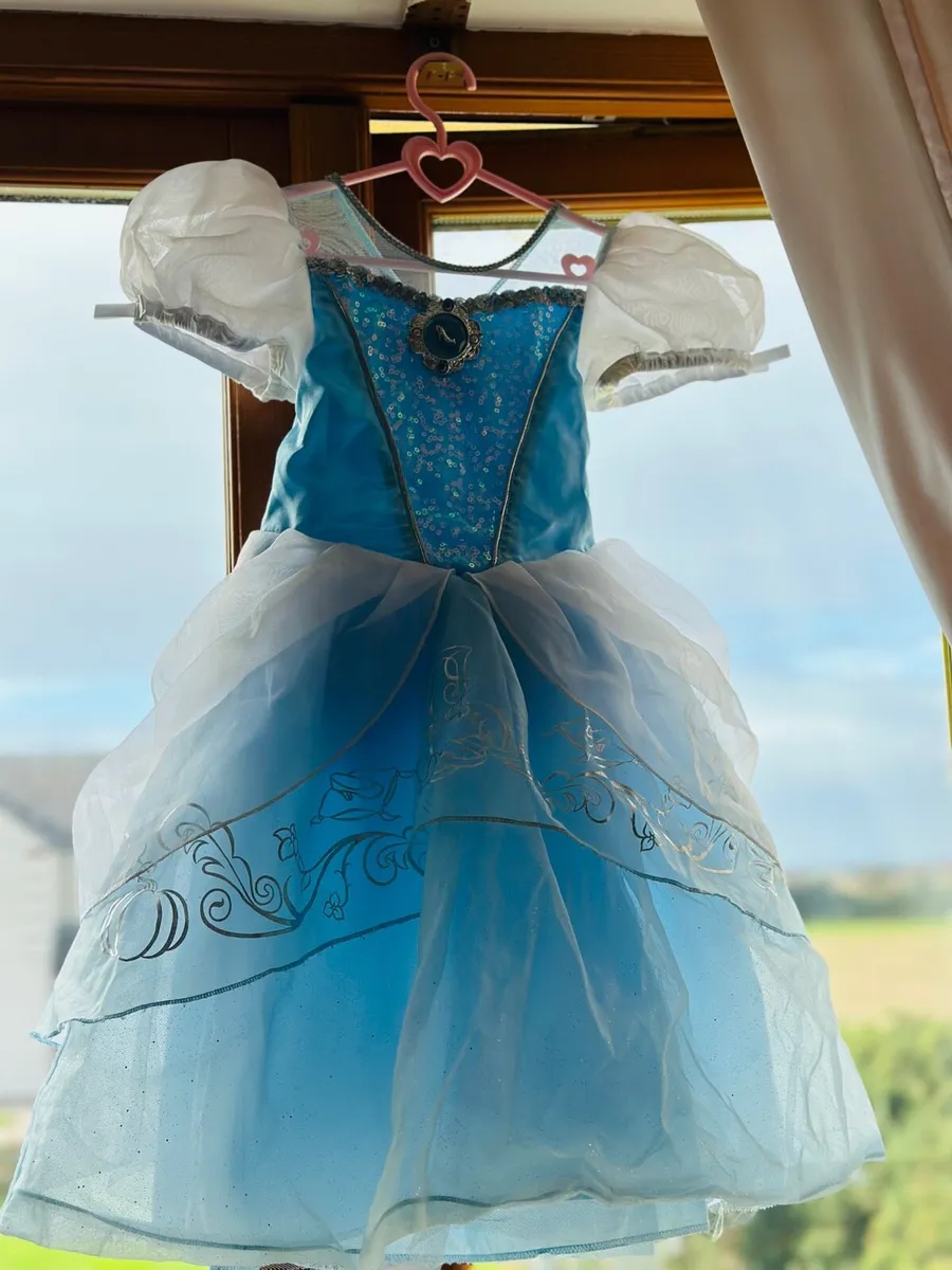 Cinderella Costume - Image 1