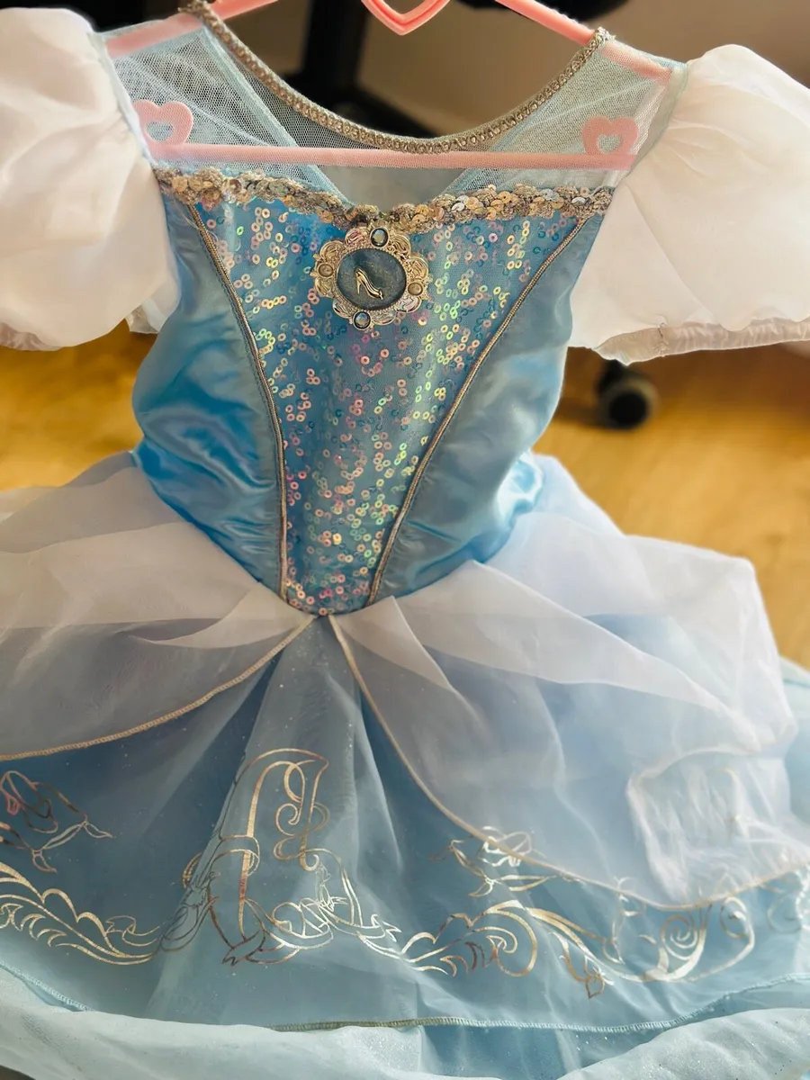 Cinderella Costume - Image 2