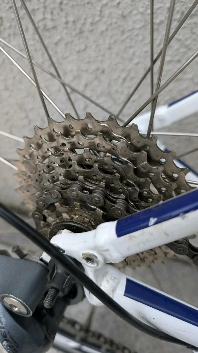 Giant Defy Aluxx Road Bike - Image 3