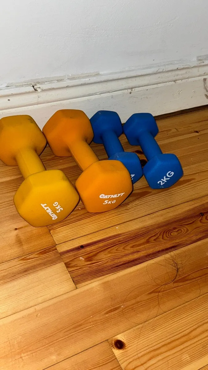 Dubmles set - 5kg and 2kg - Image 1