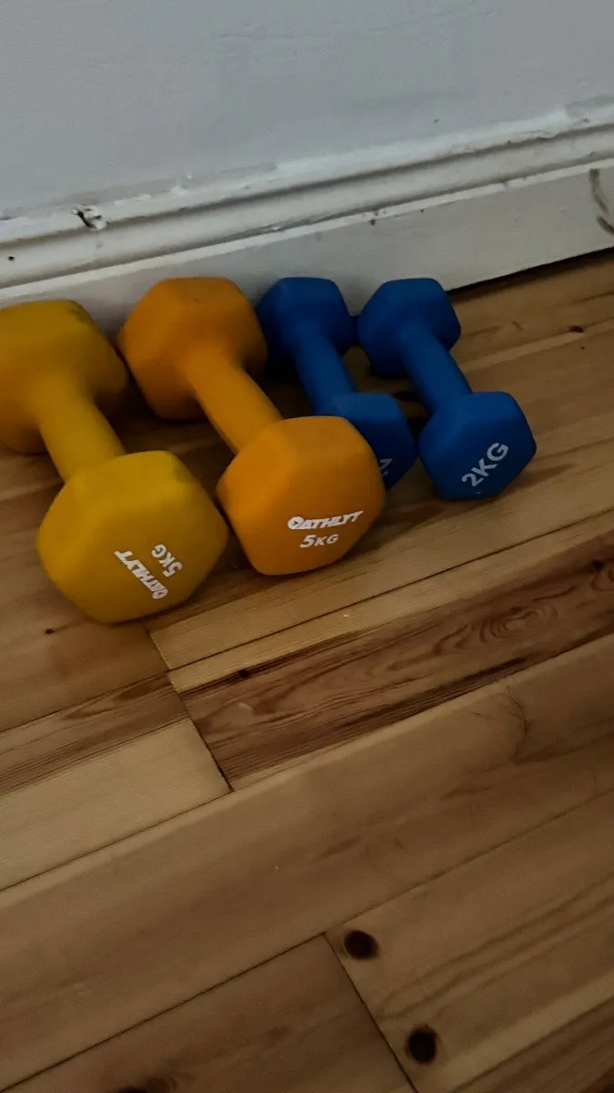 Dubmles set - 5kg and 2kg - Image 2