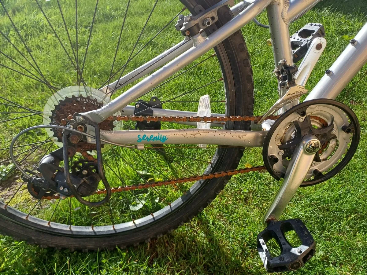 Bicycle - Image 3