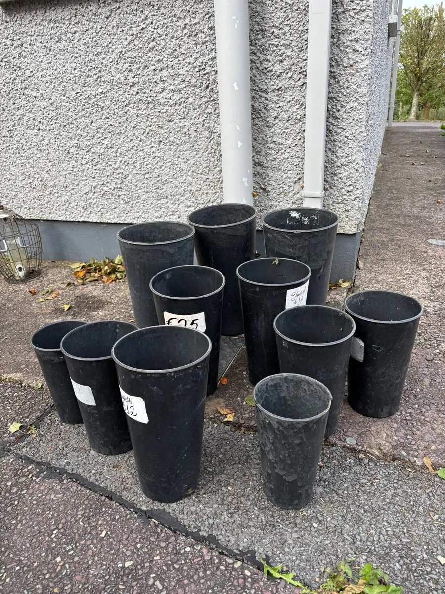 Florist buckets /vase