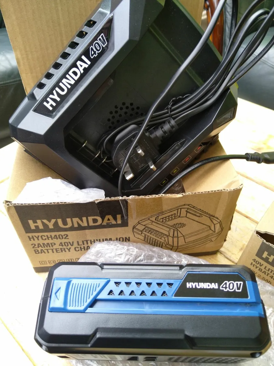 Hyundai 40v battery - Image 1