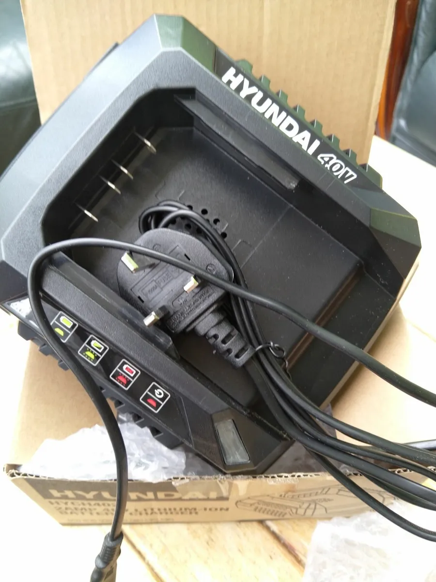 Hyundai 40v battery - Image 3