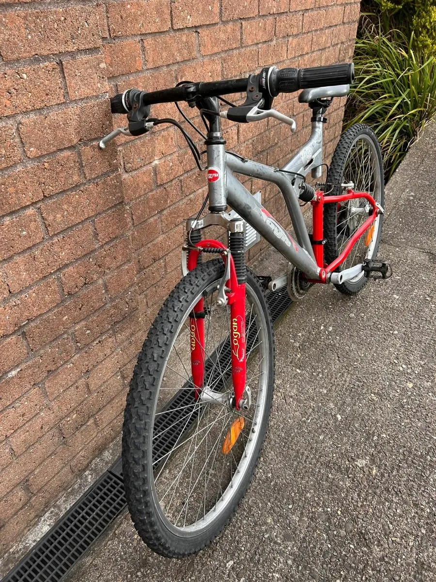 Bike - Image 1