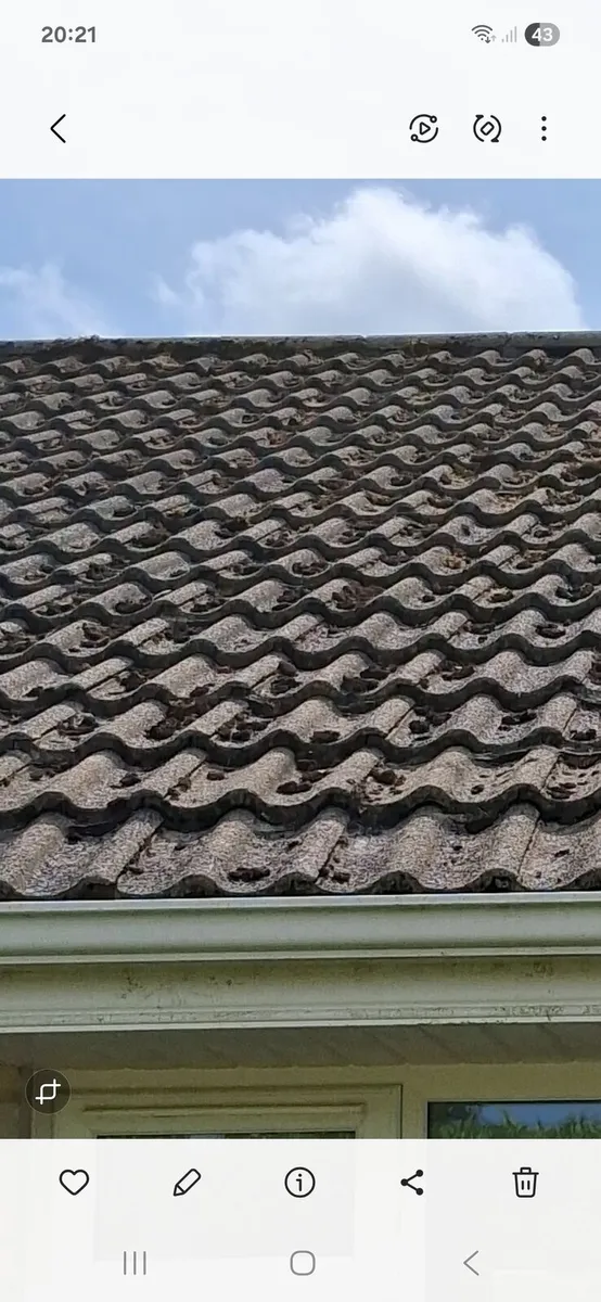 Power washing - Image 4