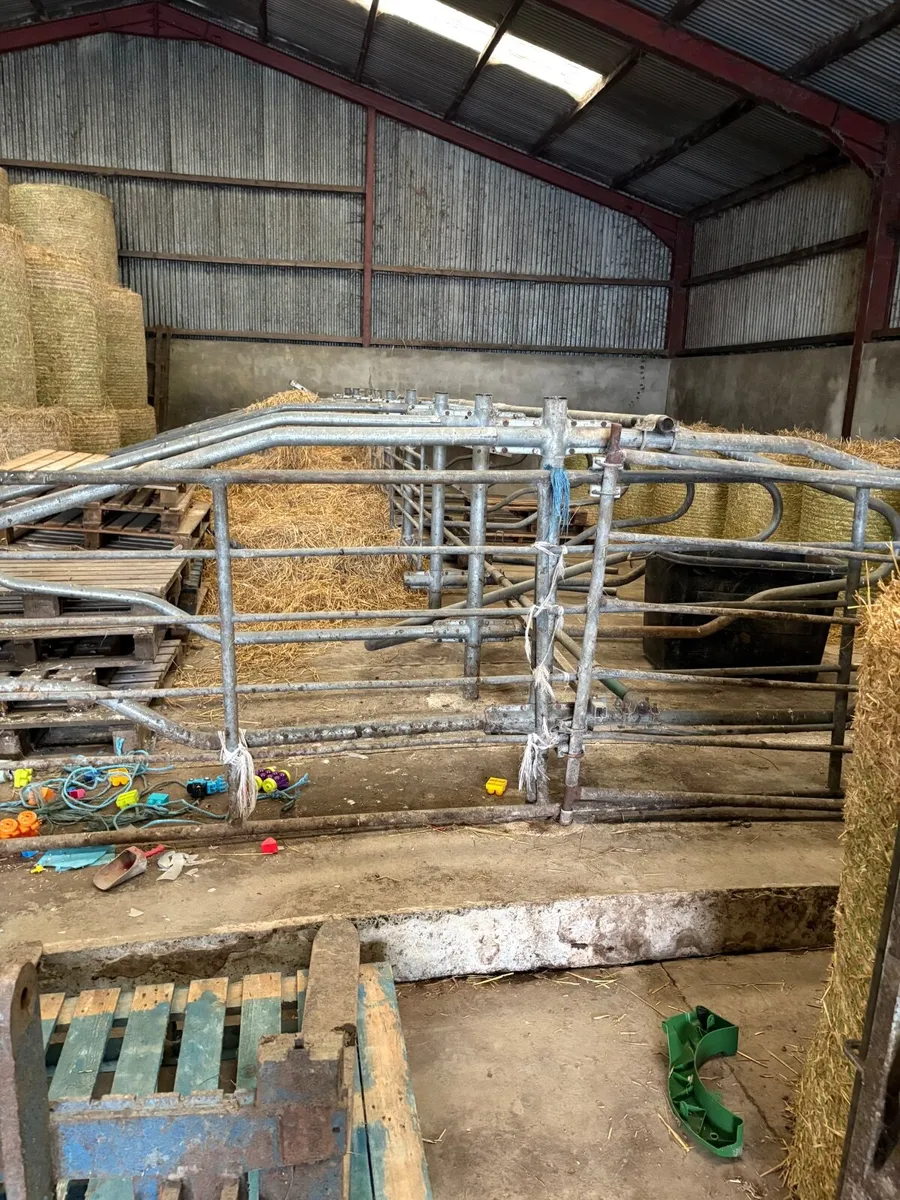 Moore concrete cow cubicles /concrete base - Image 1