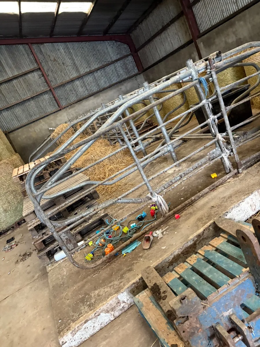 Moore concrete cow cubicles /concrete base - Image 2