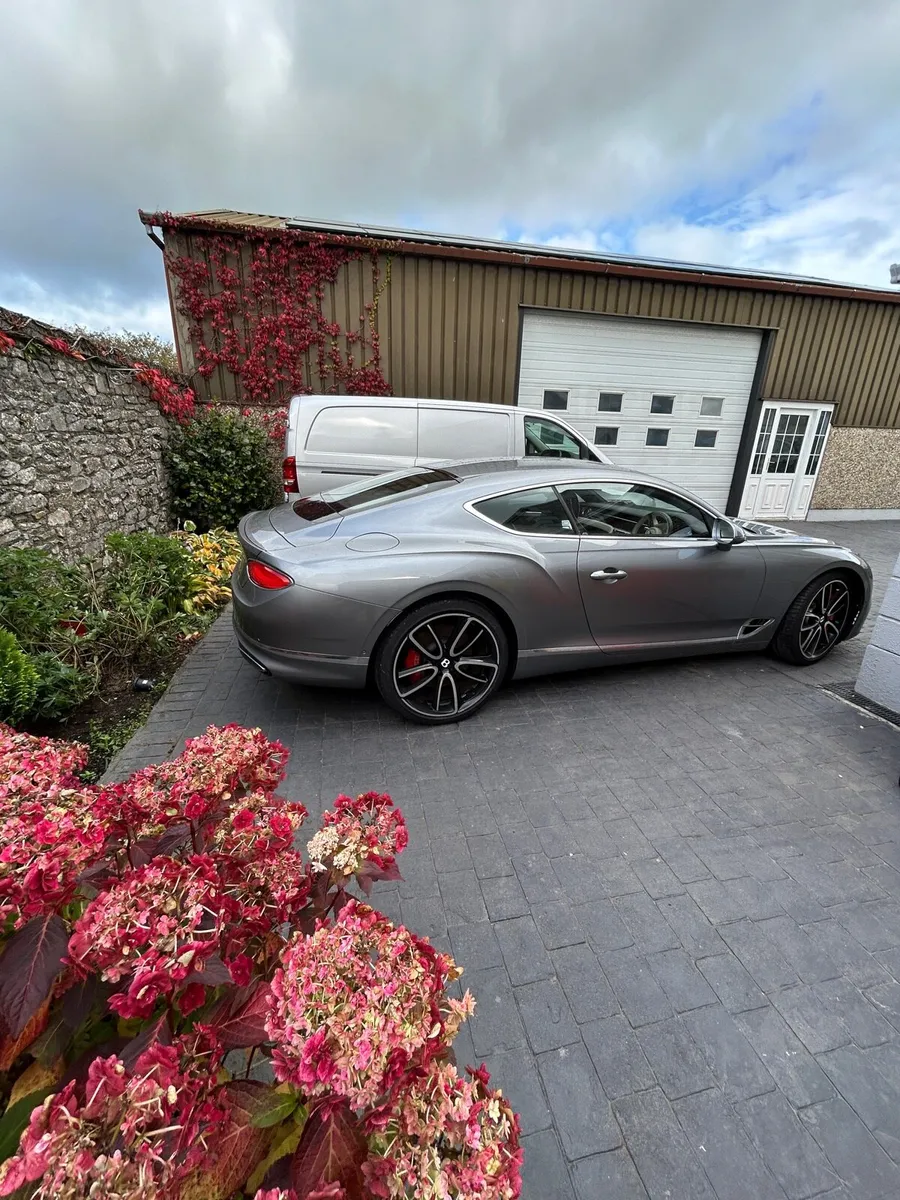 Bentley - Image 3