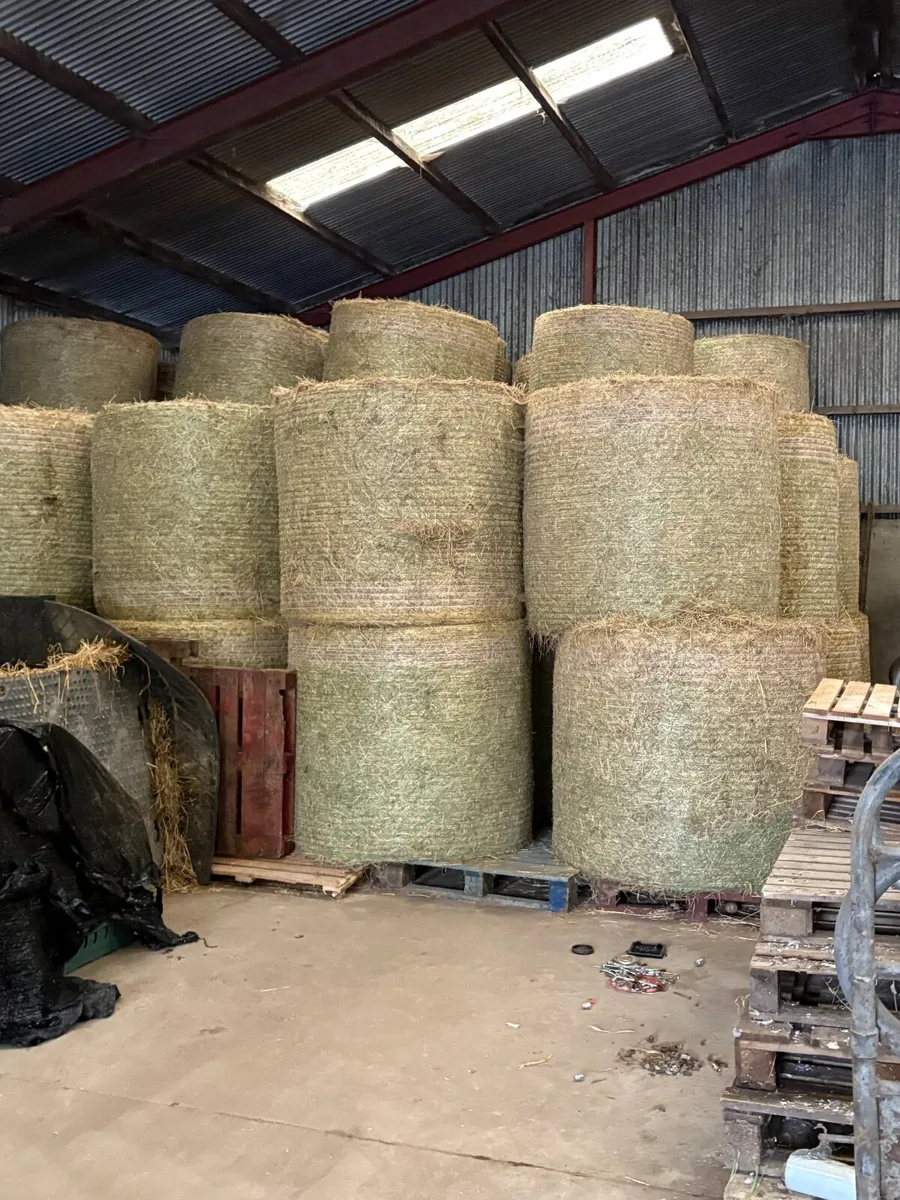 Round bales winter straw -HAY also