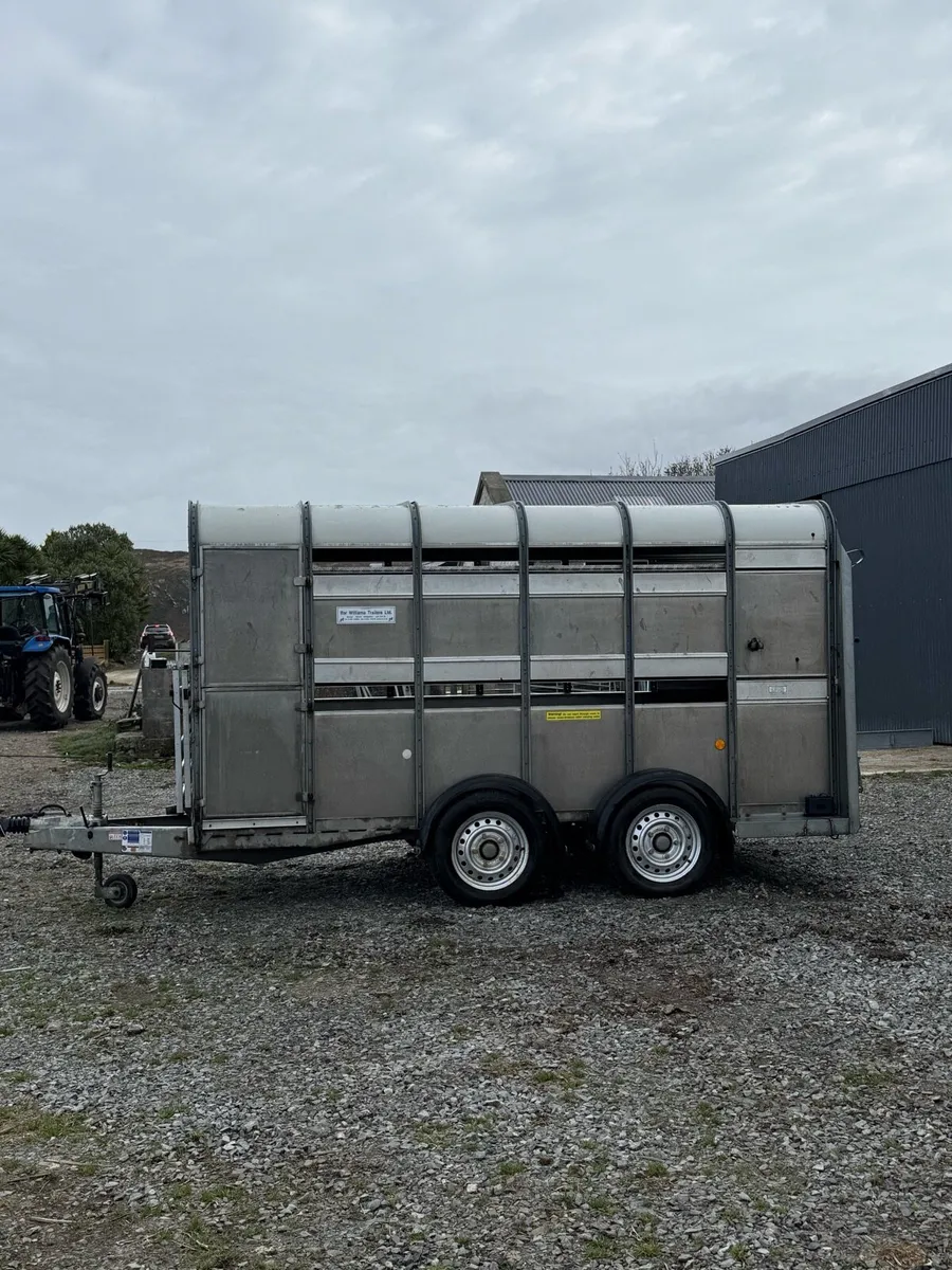 Mint Ifor Williams 12X5 *** - Image 4