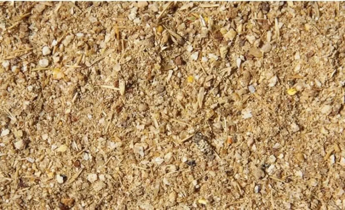 Feed - Image 1