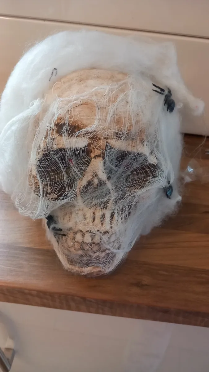 Halloween decorations - Image 2