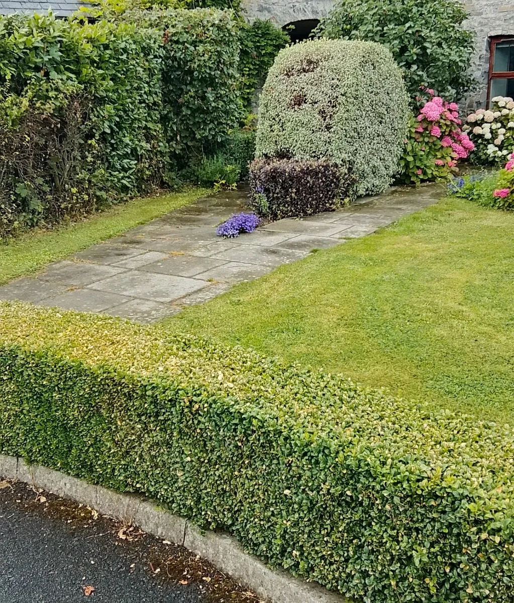 Reliable Handyperson Available Co. Meath - Image 1