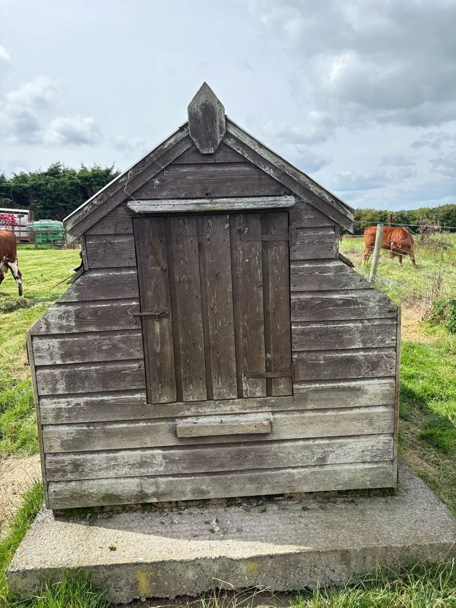 Hen House - Image 3