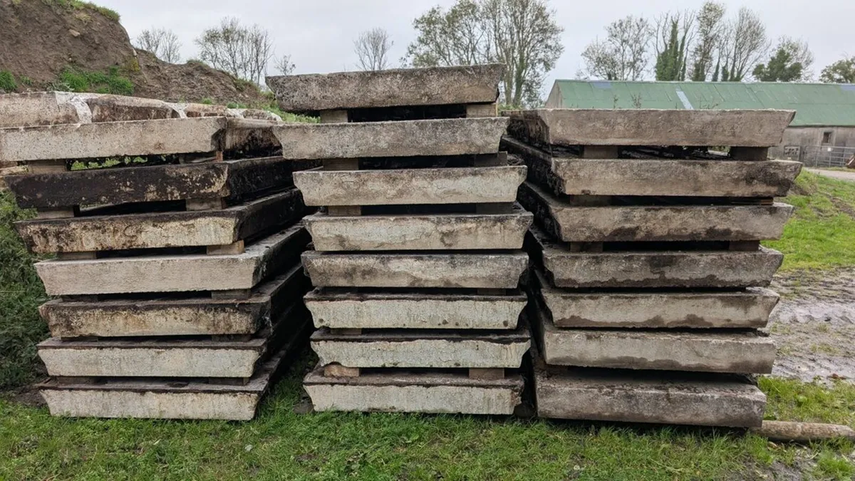 Cattle Slats - Image 2
