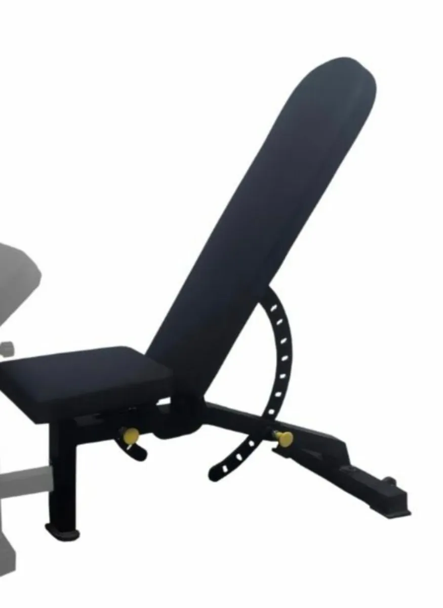 Adjustable Dumbbells 36kg and Gym bench - Image 1