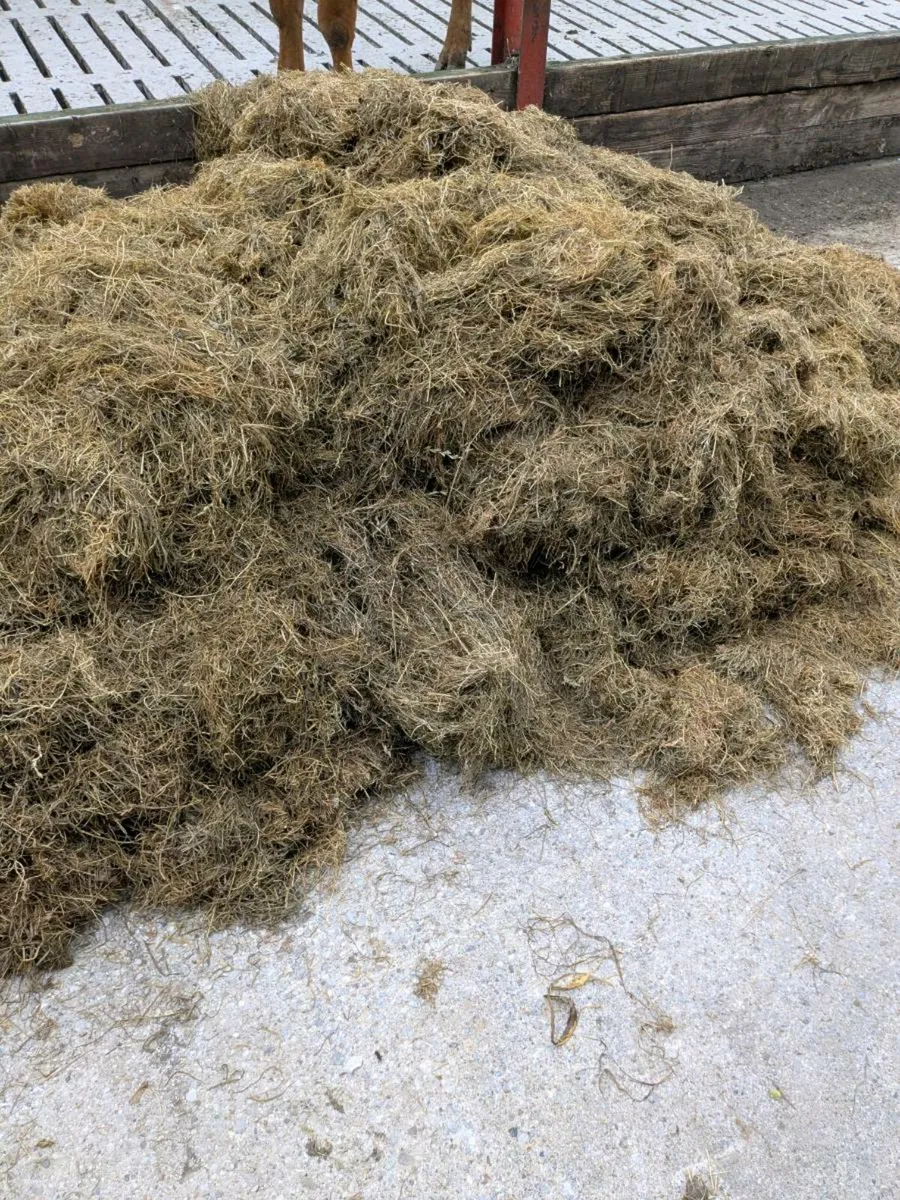 2025 Baled Silage - Image 3