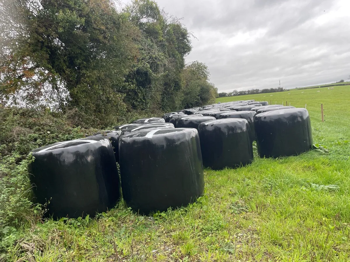 Hayleage and Sileage bales