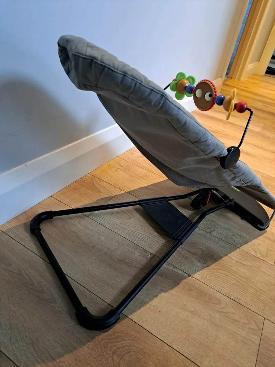 BabyBjorn Bouncer - Image 2