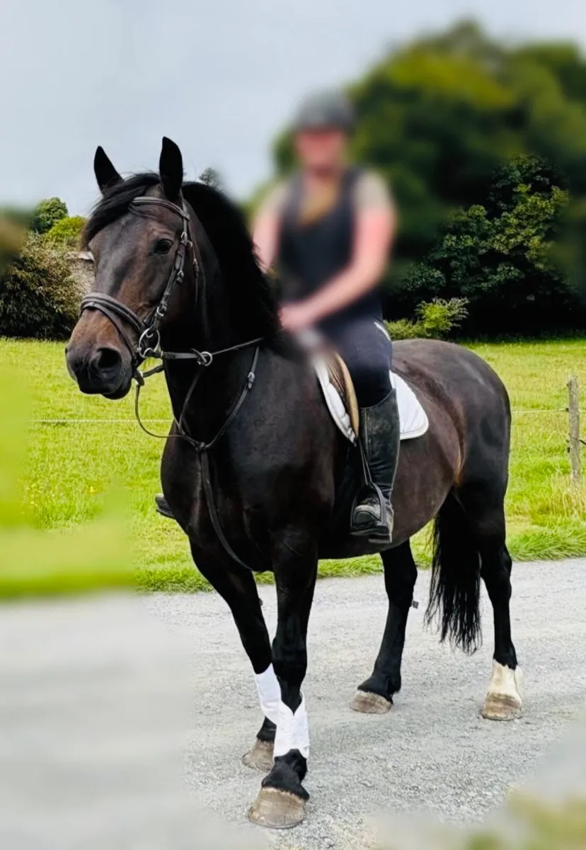 マーレ 大友克洋 セット ユナイト【FANTASTiC】通常版、爆上げ全種購入