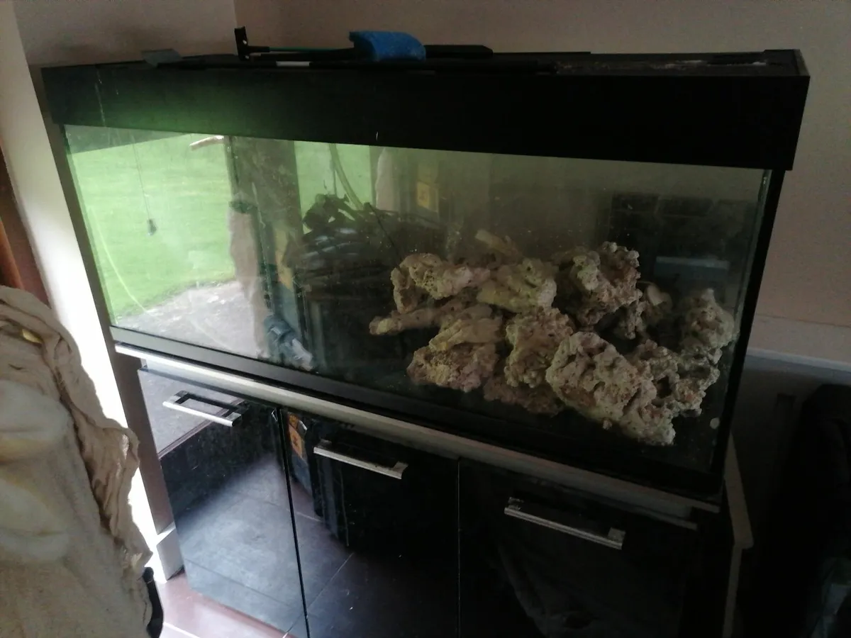 Fish tank - Image 1