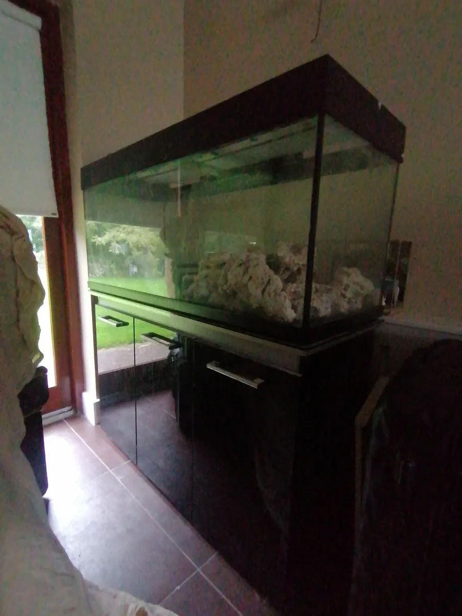 Fish tank - Image 2