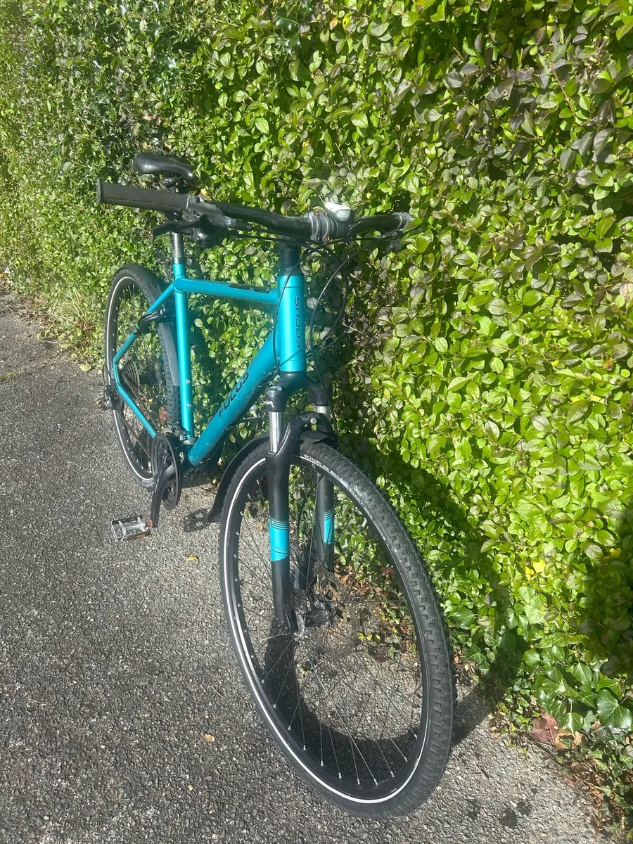 Focus: Crater Lake XL hydraulic brakes, Aluminium - Image 1