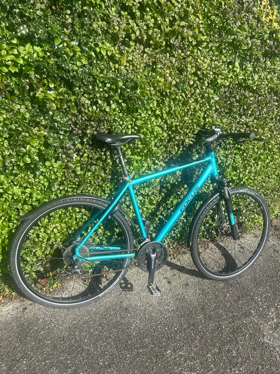 Focus: Crater Lake XL hydraulic brakes, Aluminium - Image 3