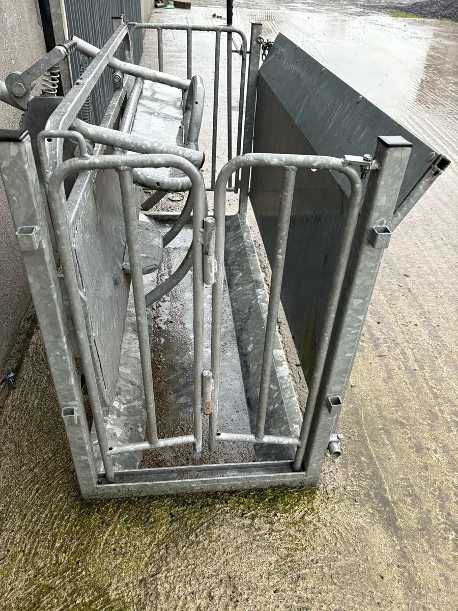 Turn over crate - Image 2