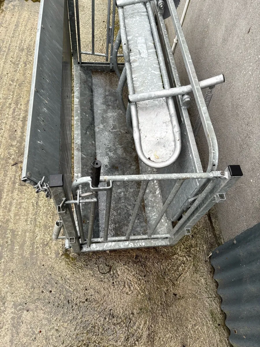 Turn over crate - Image 4