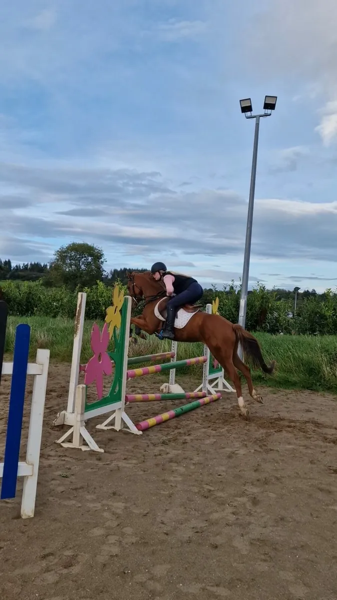 Pony - Image 2