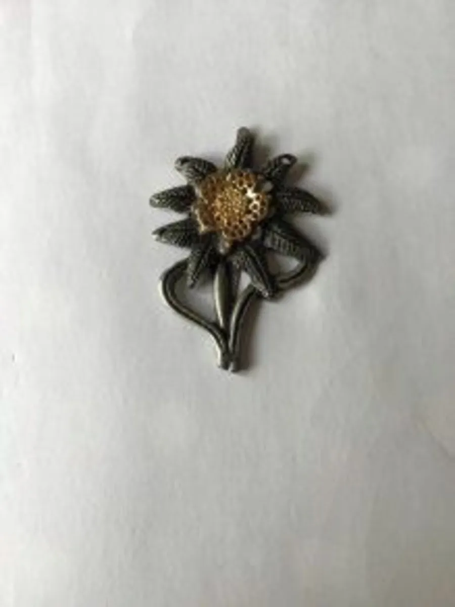 WW2 German Army ELITE Edelweiss Troop Badge