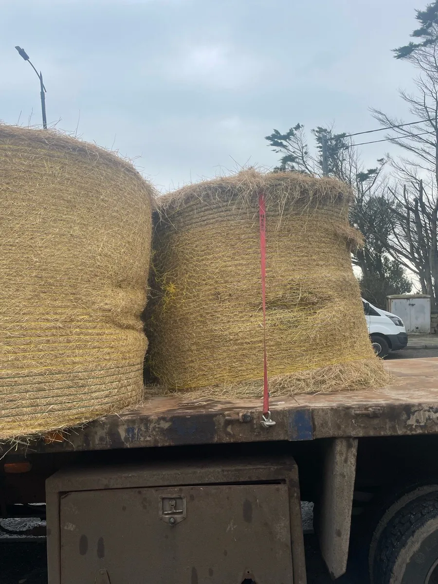 Silage and hay