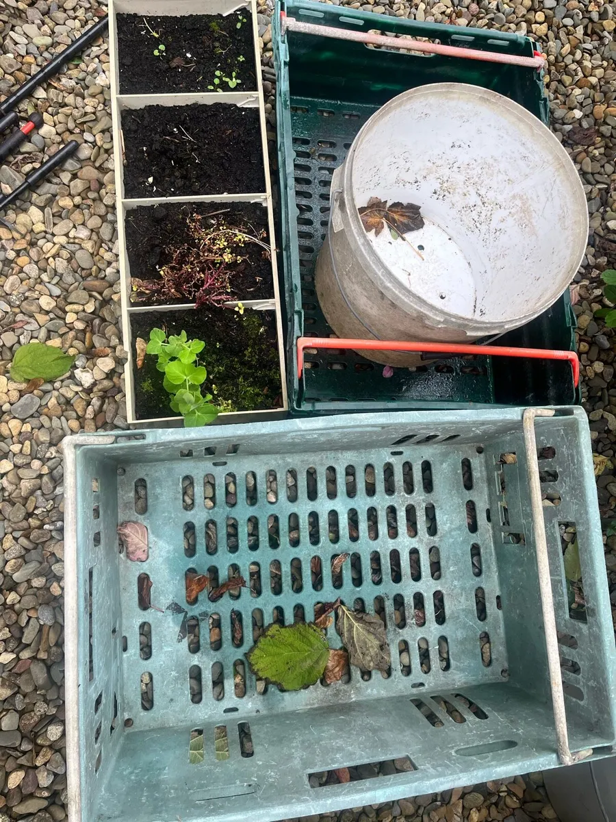 Unwanted stuff for garden - Image 3