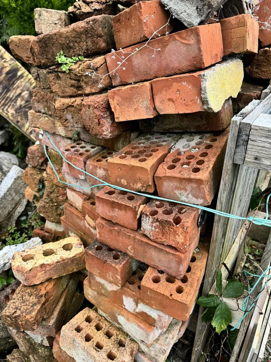Reclaimed Red Bricks - Image 3