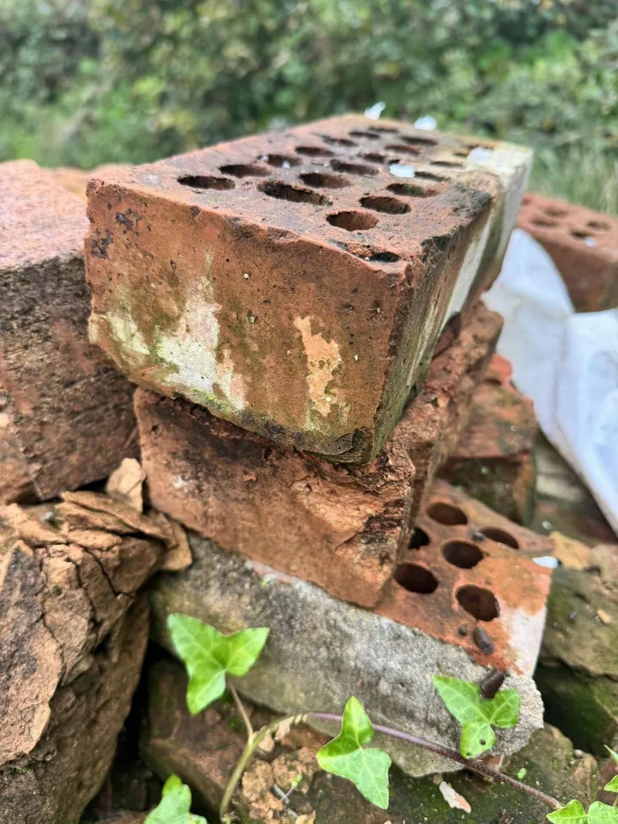 Reclaimed Red Bricks - Image 1