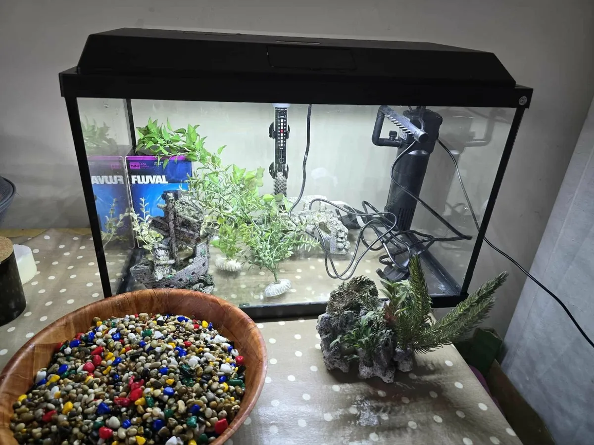 Fish Tank New with accessories