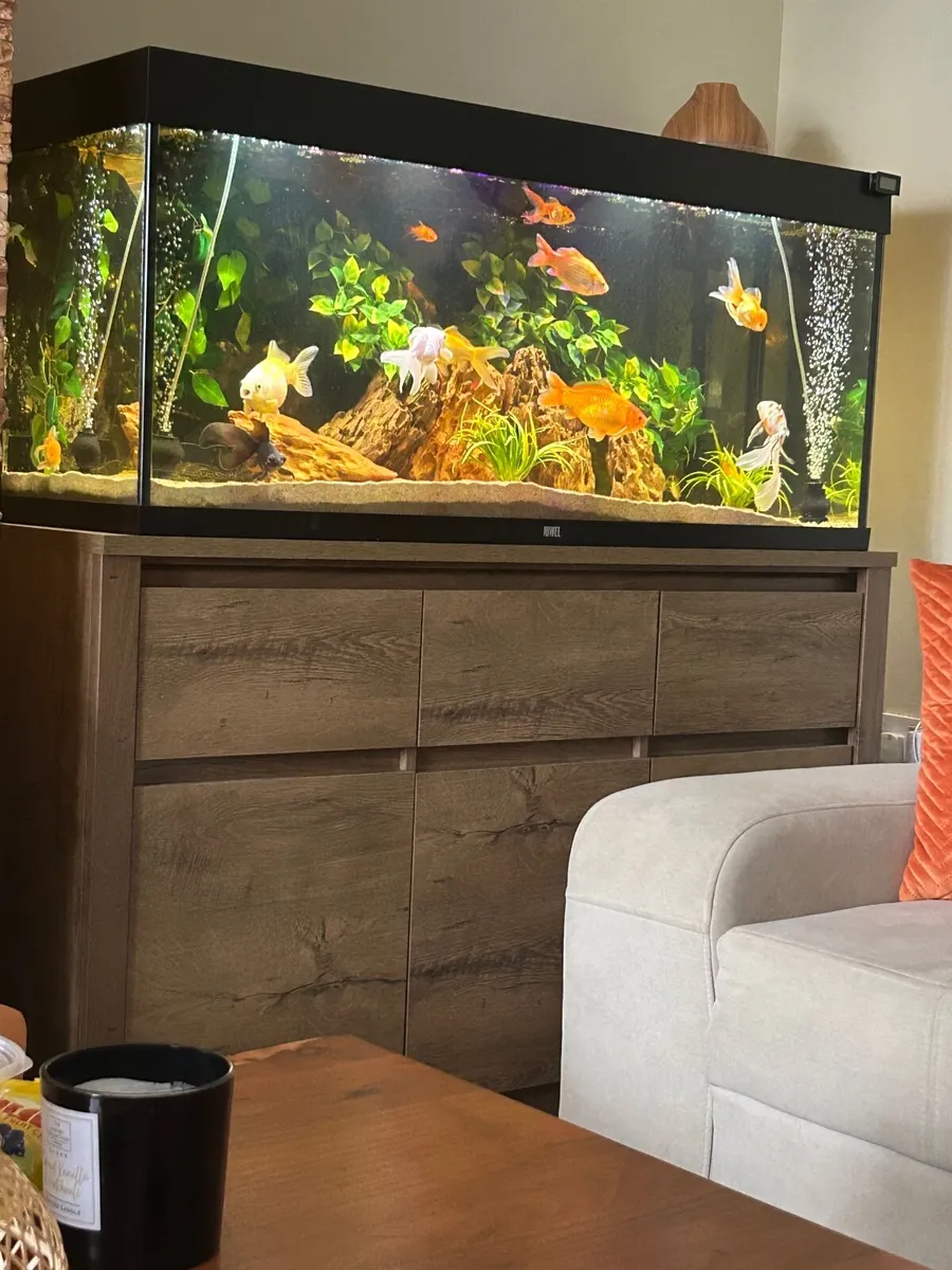 Fish tank